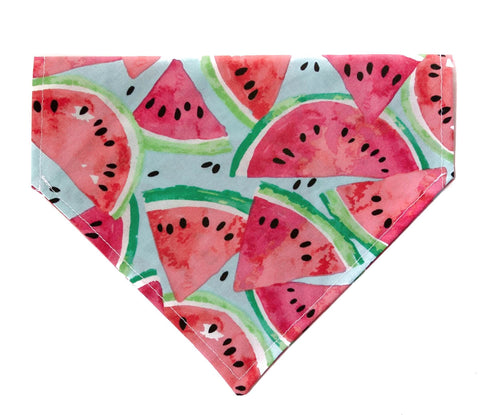 Sweet Watermelon Dog Bandana - Over the Collar Style in 5 Sizes | Free Ship - Hunter K9 Gear