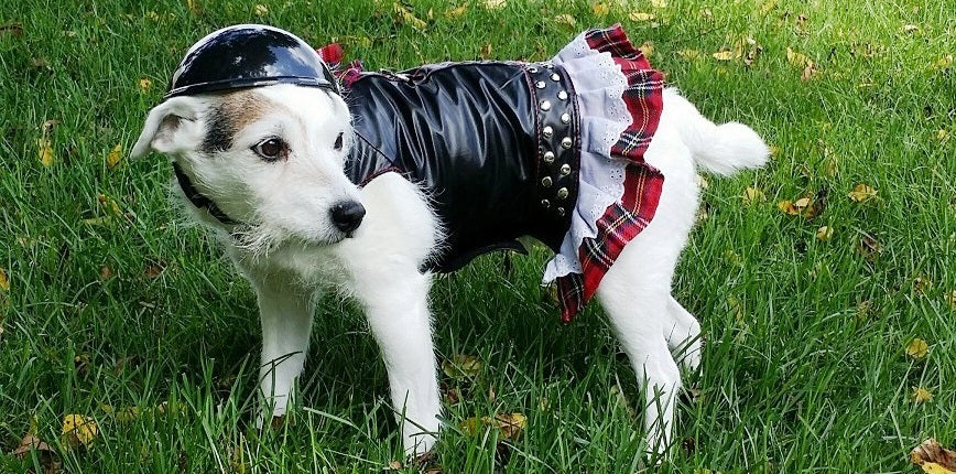 Biker Helmets & Dog Biker Harnesses