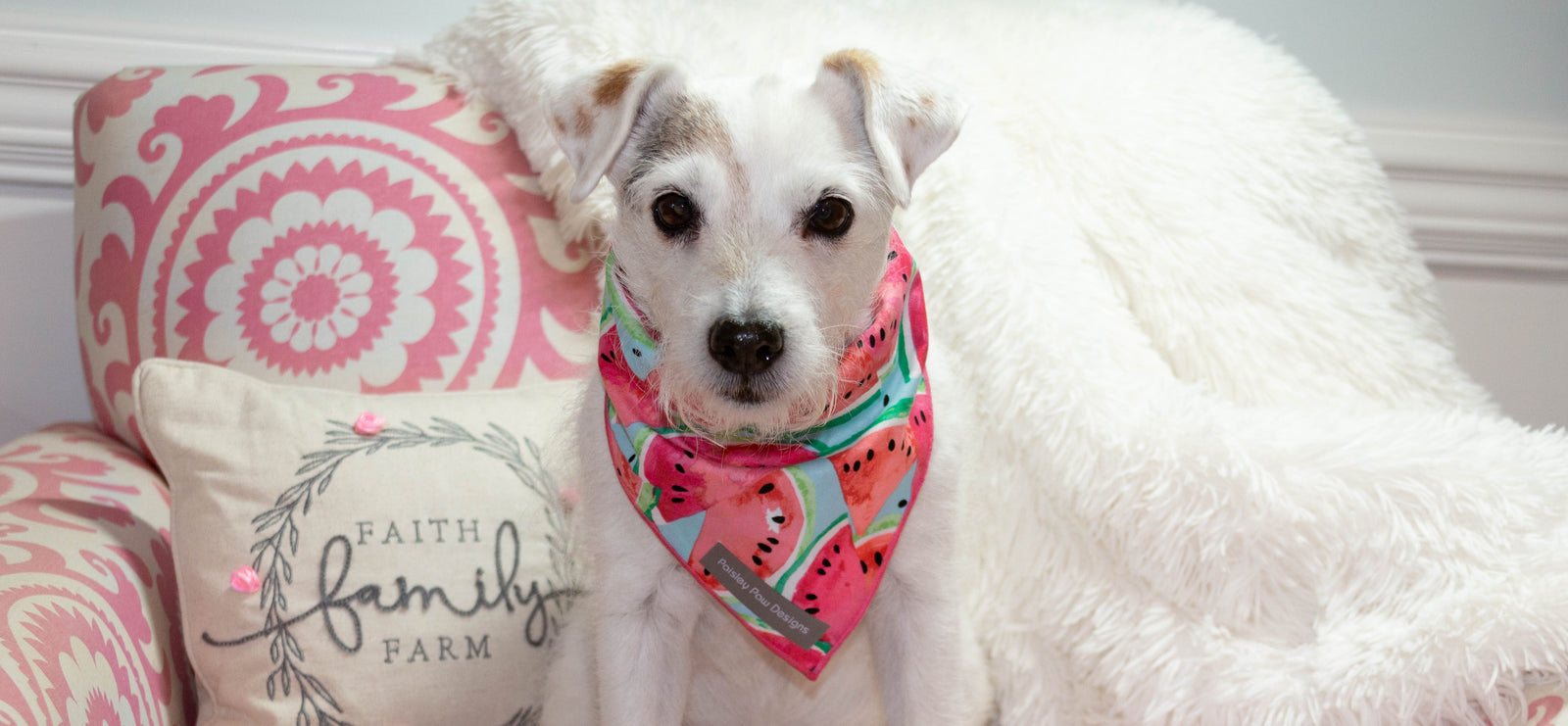 Paisley Paw Designs Traditional Tie On Bandanas