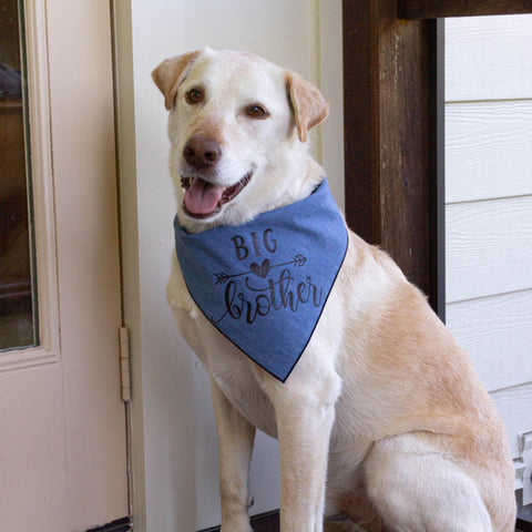 Big Brother - Denim Dog Bandana - Hunter K9 Gear