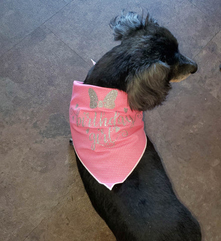 Birthday Girl Pink Polka Dog Dog Bandana- One Size | Free Ship - Hunter K9 Gear