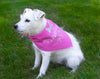 Birthday Girl Pink Polka Dog Dog Bandana- One Size | Free Ship - Hunter K9 Gear