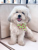 Summer Watermelon  Dog Bandana - Over the Collar Style in 5 Sizes | Free Ship - Hunter K9 Gear