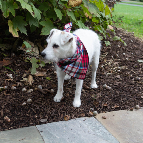 Red Tartan Flannel Plaid Dog Bandana - Classic Tie Style - Hunter K9 Gear