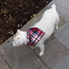 Red Tartan Flannel Plaid Dog Bandana - Classic Tie Style - Hunter K9 Gear