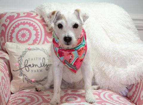 Sweet Watermelon Classic Tie Dog Dog Bandana - Hunter K9 Gear