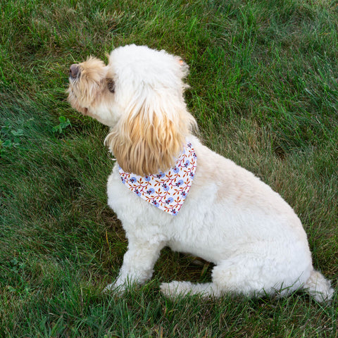 Berries on the Vine  Dog Bandana - Over the Collar Style in 5 Sizes | Free Ship - Hunter K9 Gear