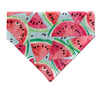 Sweet Watermelon Dog Bandana - Over the Collar Style in 5 Sizes | Free Ship - Hunter K9 Gear