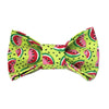 Mellon Collie Dog Bow Tie for small to large Doggie's - Hunter K9 Gear