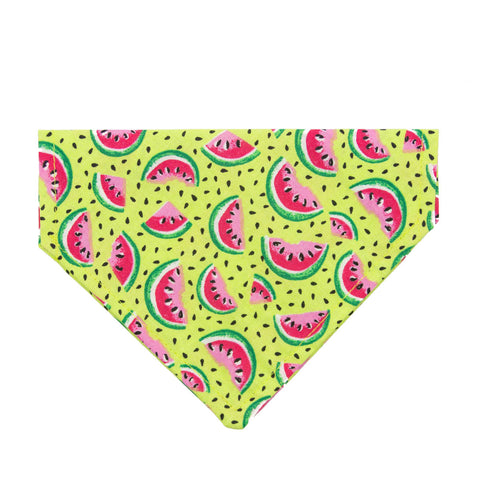 Summer Watermelon  Dog Bandana - Over the Collar Style in 5 Sizes | Free Ship - Hunter K9 Gear