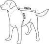 Paws Aboard Blue and Yellow Neoprene Pet Life Vest  (Fido Pet) - Hunter K9 Gear